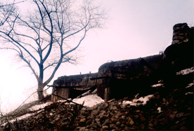 Фото Ярослава Ливанского